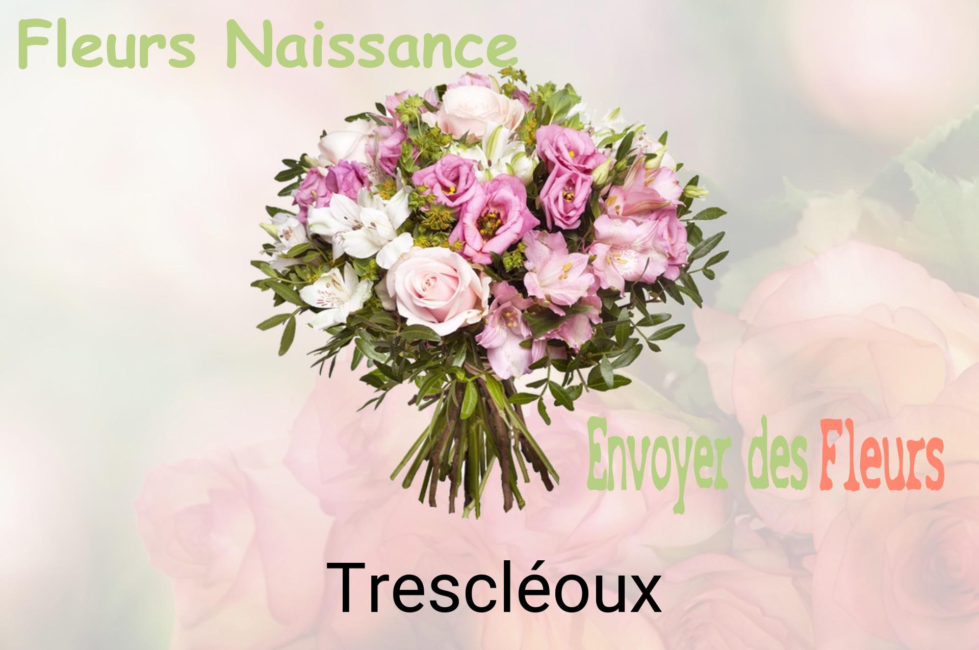 Bouquet de fleurs de naissance livré à Trescléoux