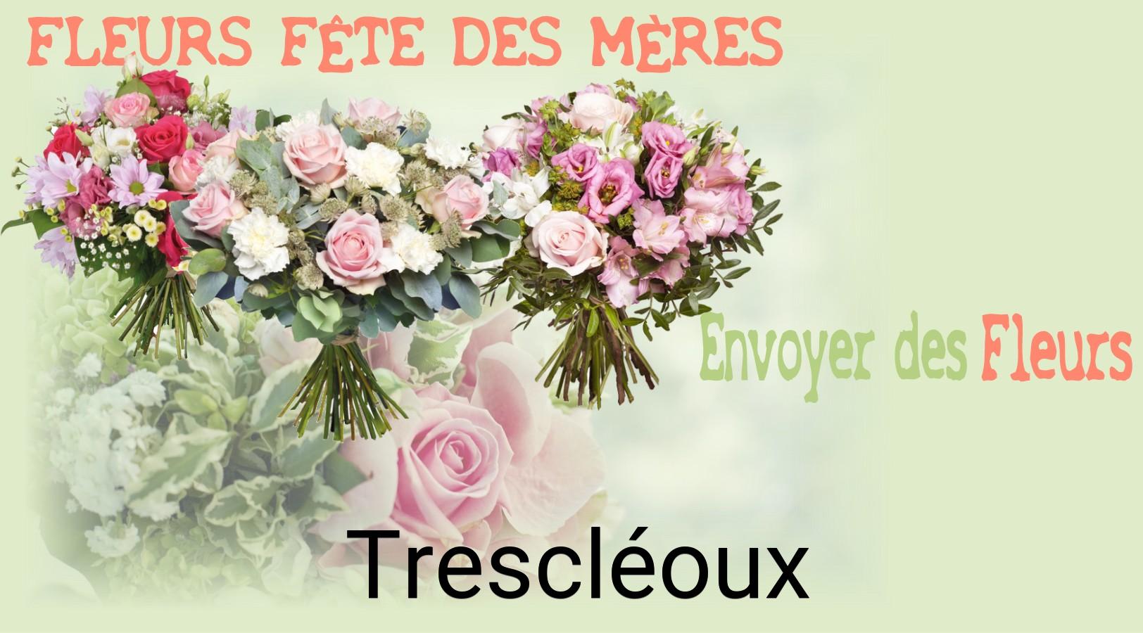 Bouquet de Fête des Mères livré à Trescléoux